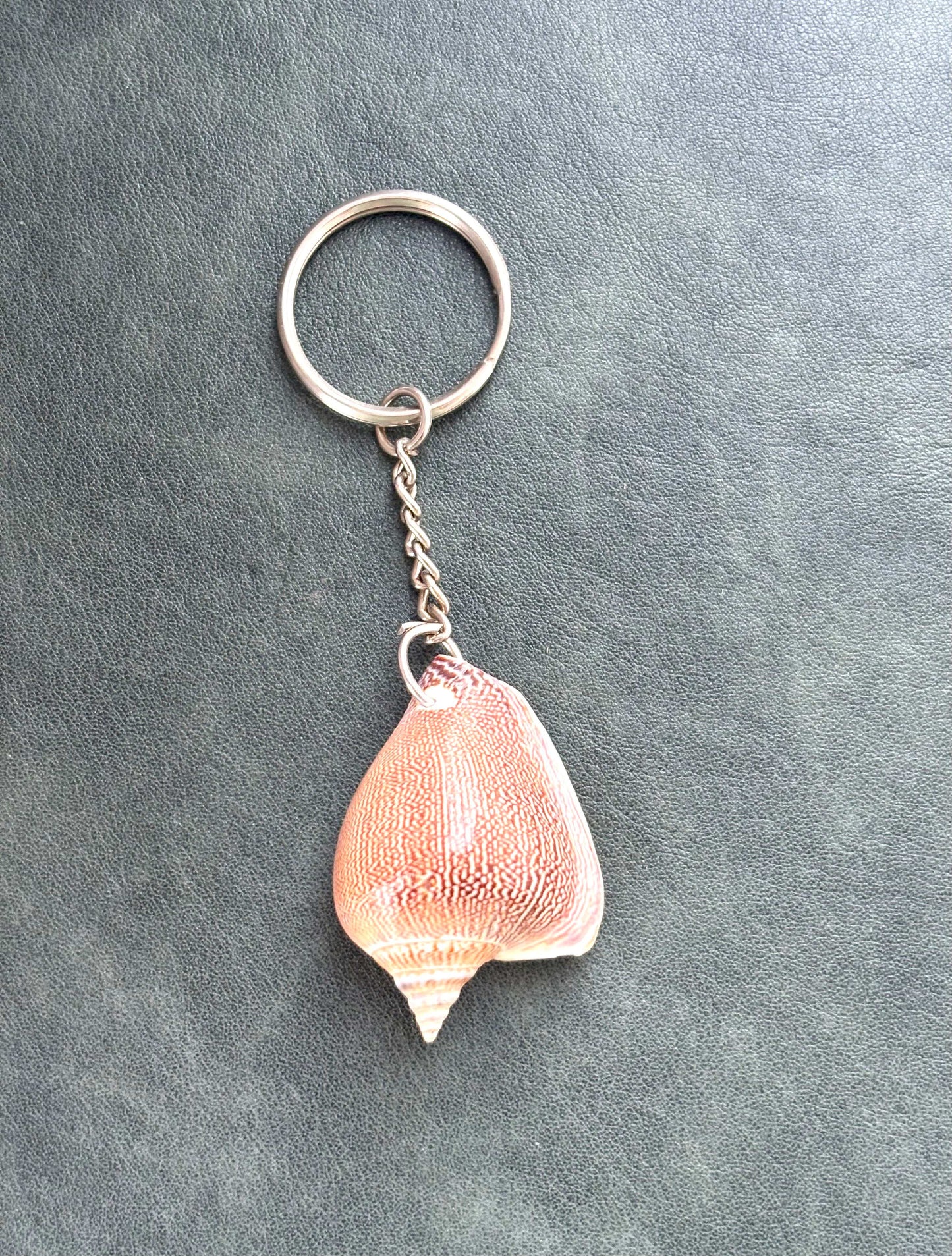 Natural Conch Seashell Keychain