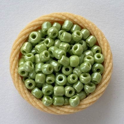 Pastel Green Indian Seed Beads