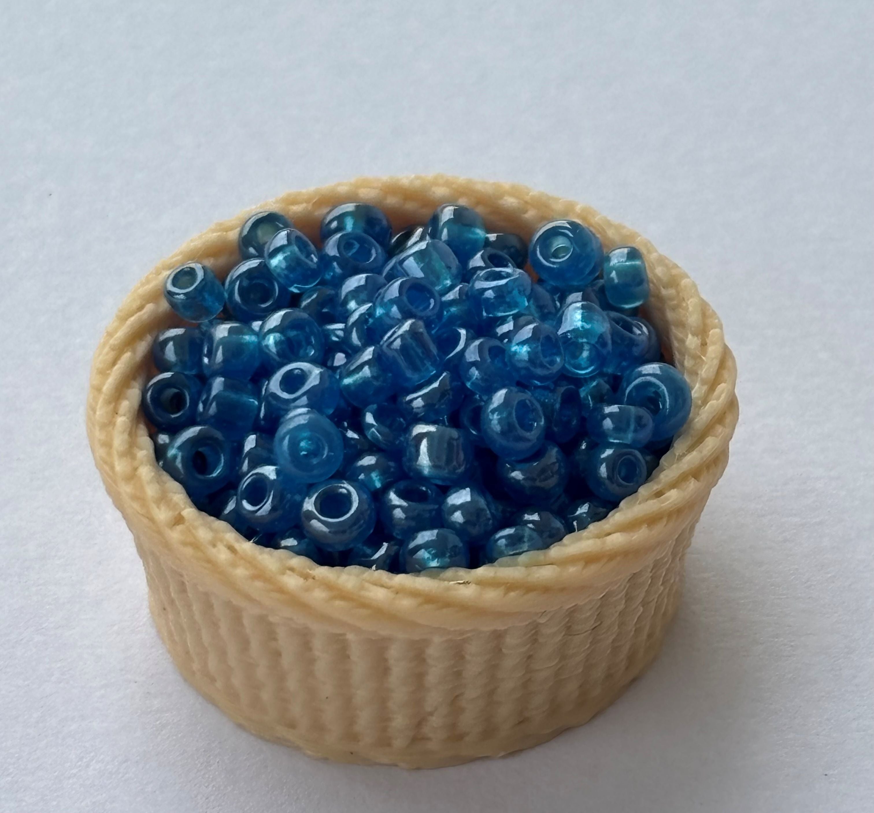 Iridescent Blue Indian Seed Beads