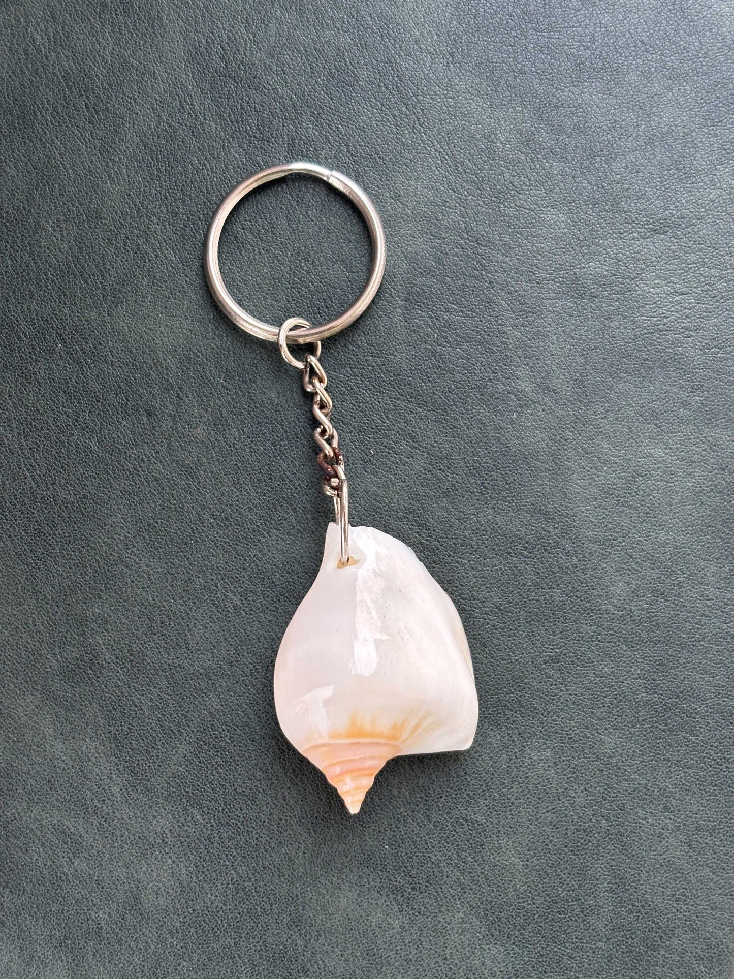 Natural Patterned Seashell Keychain