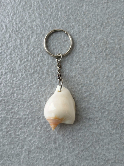 Natural Patterned Seashell Keychain