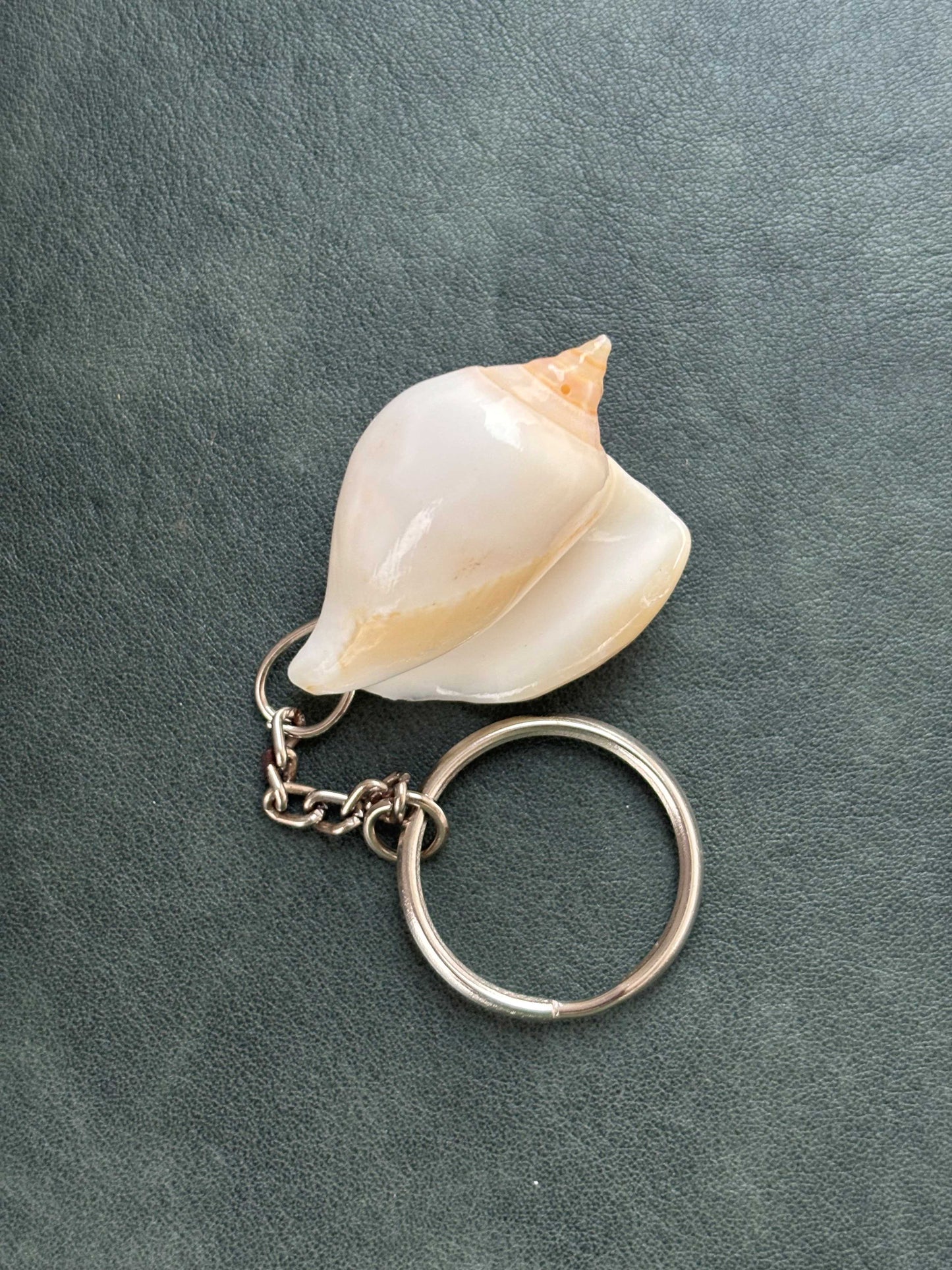 Natural Patterned Seashell Keychain